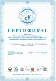 Description: сертификат 2