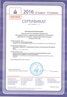 Description: сертификат 1
